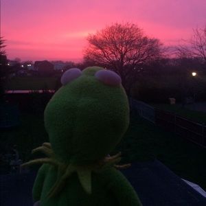 Meet your Posher, Alondra